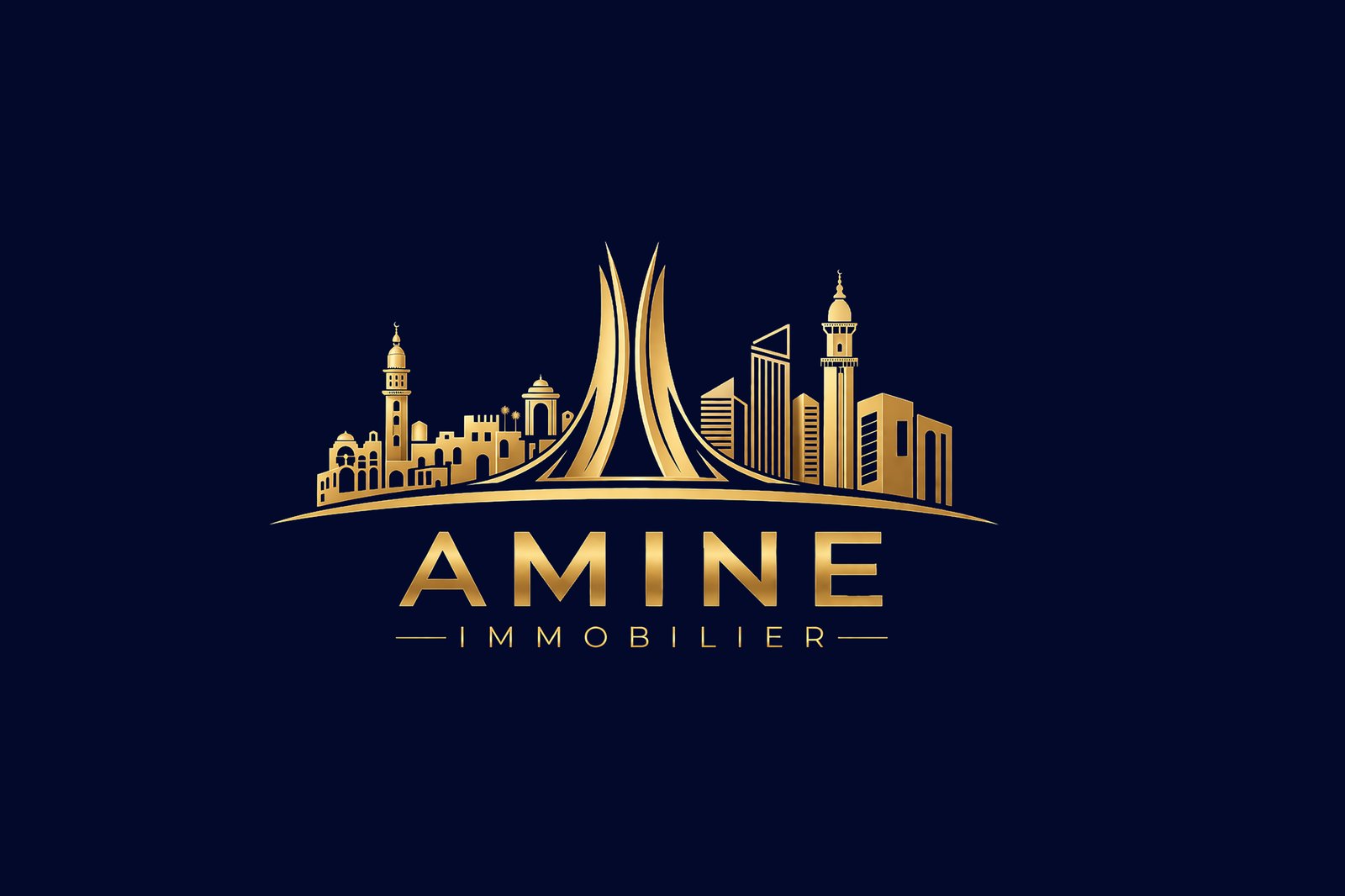 Amine Immobilier